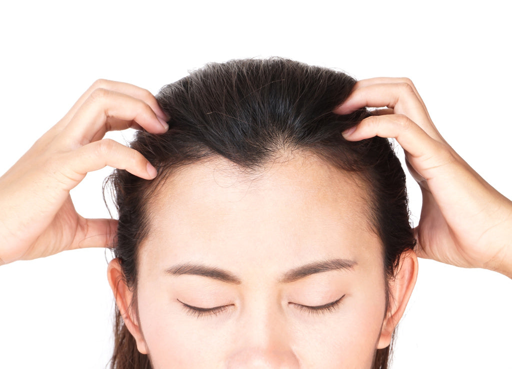 Scalp Care: The Forgotten Foundation of Healthy Hair